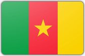 Vlag Kameroen - 100 x 150 cm - Polyester