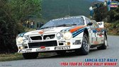 Lancia 037 Rallye - Team Martini - Hasegawa modelbouw pakket 1:24