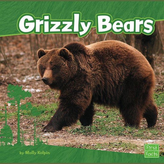 Grizzly Bears - cover