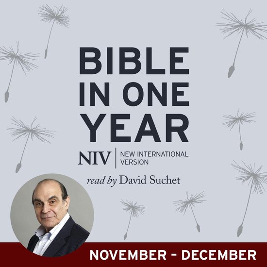 NIV Audio Bible in One Year (Nov-Dec) - cover