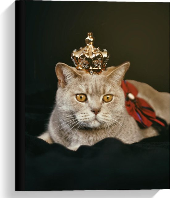 Canvas - Kat als Koning - Foto op Canvas Schilderij (Wanddecoratie op Canvas)