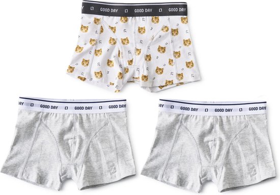 Little Label Onderbroeken Jongens - 3 Stuks -Maat 146-152 - Boxershorts - Wit - Zachte BIO Katoen