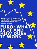 EURO: What is it and how does it work