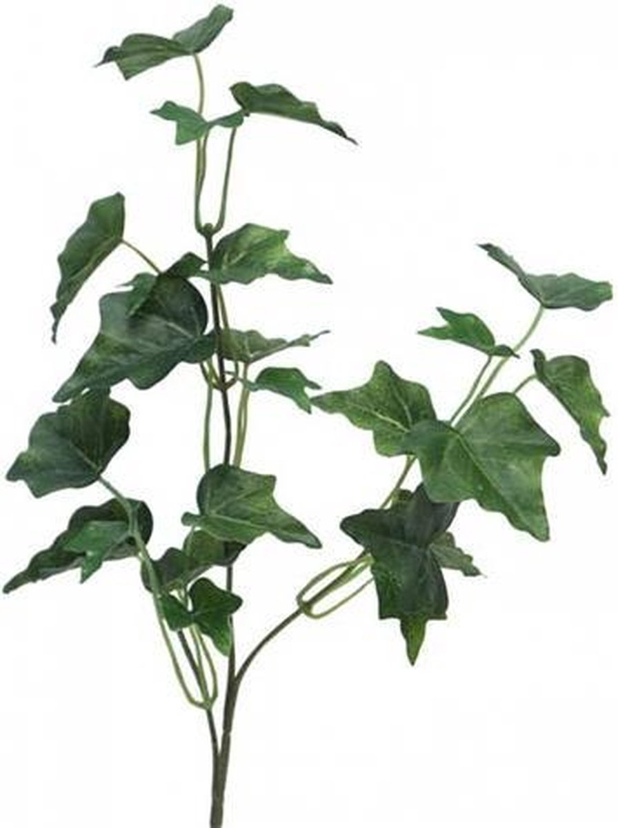 Erutan avon Ivy Chicago Tak 55 cm kunsthangplant Erutan Avon Groen