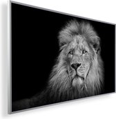 Infrarood Verwarmingspaneel 450W met fotomotief een Smart Thermostaat (5 jaar Garantie) - Lion 69