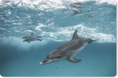 Muismat Dolfijn - Dolfijnen zwemmend bij de Bahamas muismat rubber - 27x18 cm - Muismat met foto