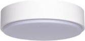 LED Plafondlamp - Igory Santi - Opbouw Rond 24W - Warm Wit 3000K - Mat Wit - Aluminium