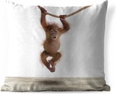 Sierkussen Animalprintshop voor buiten - Baby orang oetan dierenprint - 50x50 cm - vierkant weerbestendig tuinkussen / tuinmeubelkussen van polyester