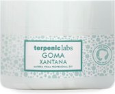 Terpenic Goma Xantana 100g