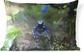 Buitenkussens - Tuin - Blauwe kikker in de jungle - 60x40 cm