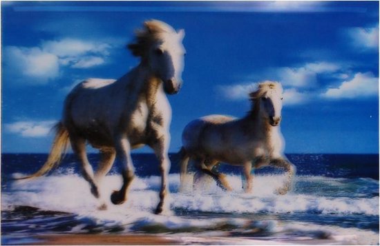 S.Y.W Poster - Witte Paarden In De Zee - Wit