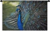 Tapisserie - Tapisserie - Paon - Vogels - Blauw - 60x40 cm - Tapisserie