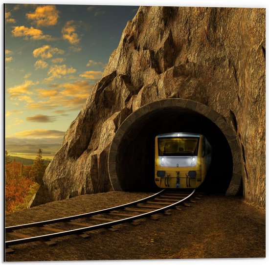 Dibond - Trein door Tunnel - 50x50cm Foto op Aluminium (Wanddecoratie van metaal)