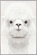 JUNIQE - Poster met kunststof lijst Smiling Alpaca -20x30 /Wit