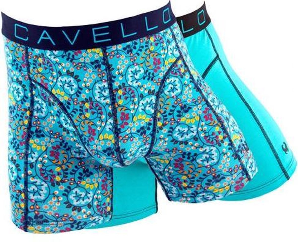 Cavello Boxershorts Blauw print