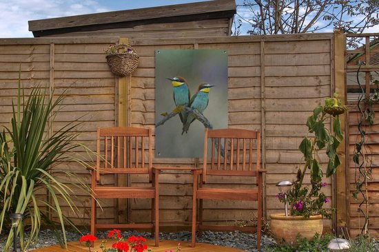 Deux adorables guêpiers regardent l'autre. Poster de jardin 40x60 cm - petit - Toile de jardin / Toile d'extérieur / Peintures d'extérieur (décoration de jardin)