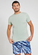 Shiwi Tee Robbert Soft solid - silvered green - L