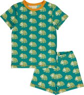 Pyjama Set SS CHAMELEON 122/128