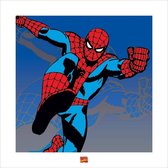 Marvel Poster - Pyramid Spider-man - 40 X 40 Cm - Multicolor