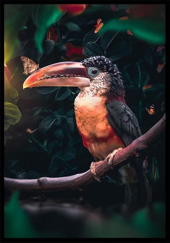 Punt. Poster - Toucan Botanische Jungle Dieren - 70 X 50 Cm - Oranje