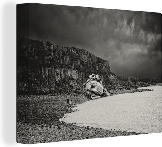 Canvas Schilderij Meisje is alleen op de wereld op strand met hoofd van beeld in zwart-wit - 40x30 cm - Wanddecoratie