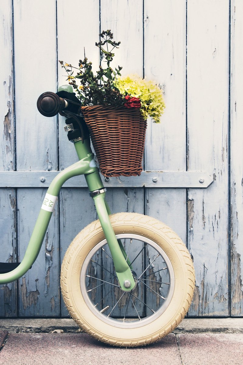 Puky XL loopfiets voor kinderen van 3 jaar in Groen — afbeelding 4