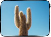 Laptophoes 14 inch - Cactus met blauwe hemel - Laptop sleeve - Binnenmaat 34x23,5 cm - Zwarte achterkant