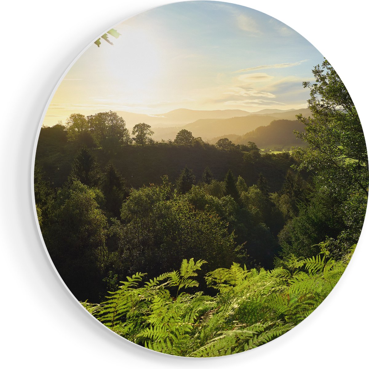 Artaza Forex Muurcirkel Zonsondergang Vanuit Een Bos - 90x90 cm - Groot - Wandcirkel - Ron