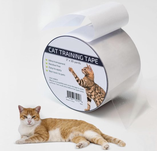 Gezondheid en verzorging van je nieuwe kitten | MAXI ZOO