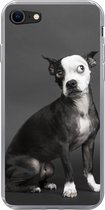 Geschikt voor iPhone SE 2020 hoesje - Hond - Vlek - Portret - Siliconen Telefoonhoesje