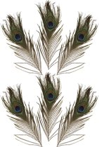 Nepveren/sierveren - Pauwen veren - 6x stuks - gekleurd - 25 cm