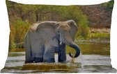 Buitenkussens - Tuin - Badderende olifant - 60x40 cm