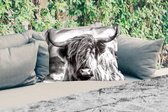 Buitenkussens - Koe - Schotse hooglander - Zwart - Wit - Dier - Natuur - Wild - 60x40 cm - Weerbestendig