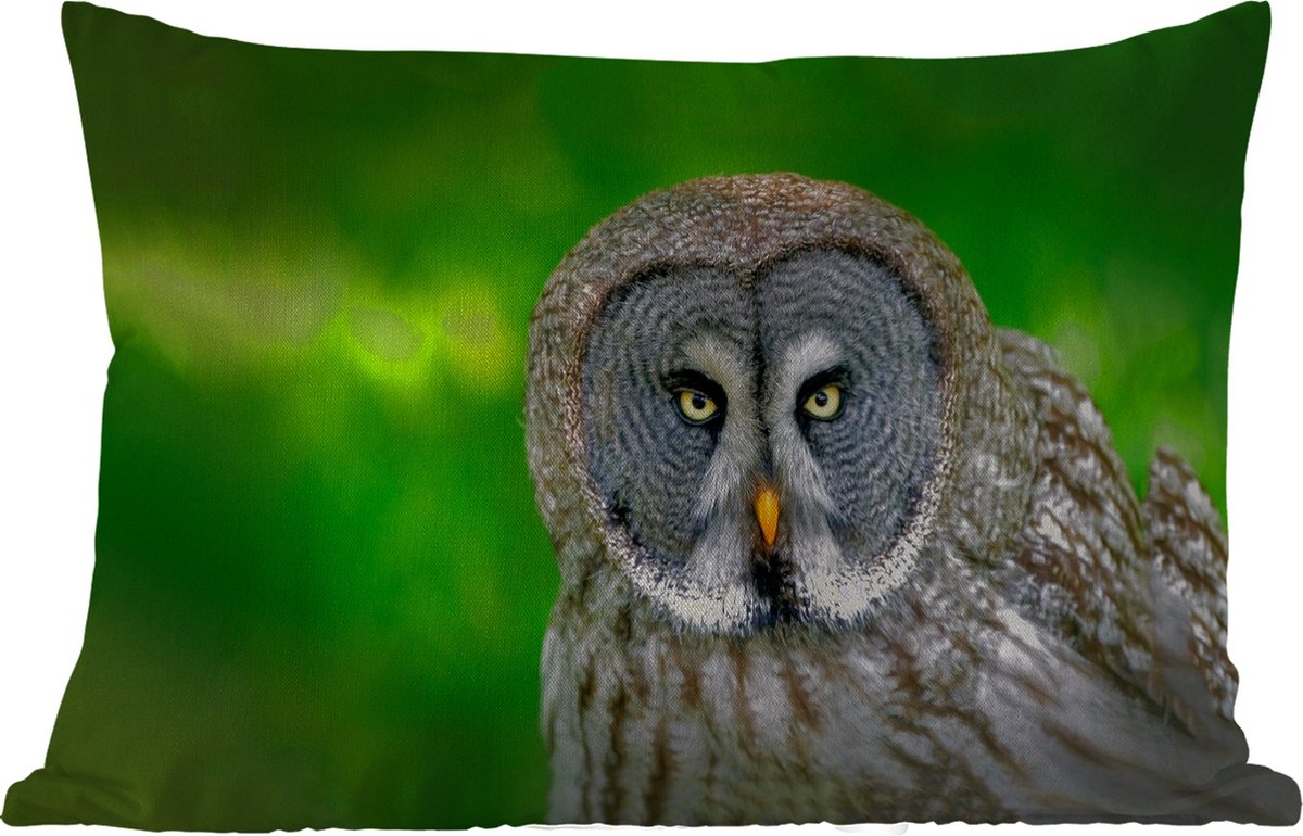 Buitenkussens - Vogel - Uil - Dieren - Bruin - Portret - 60x40 cm - Weerbestendig