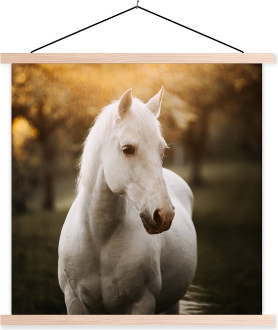 Schoolplaat paard - Muurdecoratie kinderkamer - Paard - Zon - Herfst - Dieren - Natuur - Slaapkamer decoratie - 40x40 cm