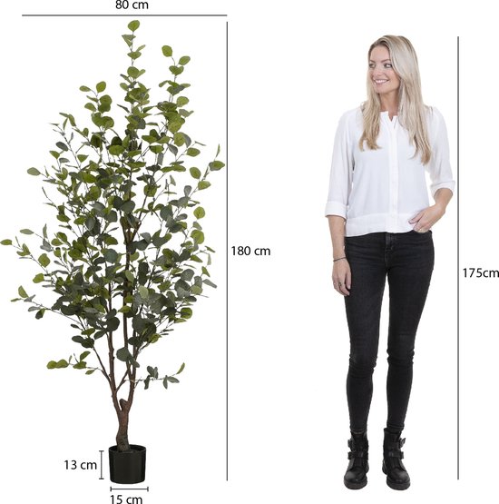 Mica Decorations Plante Artificielle Eucalyptus en Pot - H180 x Ø80 cm - Vert