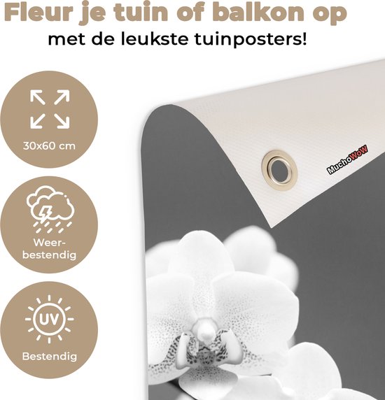Poster de jardin Orchidée - Fleurs - Plante - Wit - Violet - 30x60 cm - Toile jardin - Poster extérieur