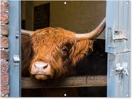 Tuinposter - Tuindoek - Tuinposters buiten - Schotse Hooglander - Boerderij - Schuur - 120x90 cm - Tuin