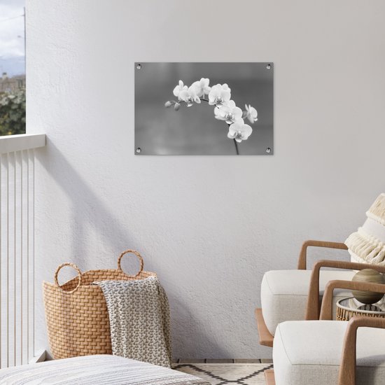 Décoration de jardin Orchidée - Fleurs - Plante - Wit - Violet - 60x40 cm - Poster jardin - Toile jardin - Poster extérieur