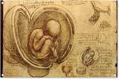 Tuinposters buiten Baby in the womb - Leonardo da Vinci - 90x60 cm - Tuindoek - Buitenposter