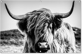Poster de jardin Highlander écossais - Nature - Vache - Zwart - Wit - 130x80 cm - Décoration murale Outdoor - Poster de jardin - Toile de jardin - Poster de clôture - Tableau de jardin
