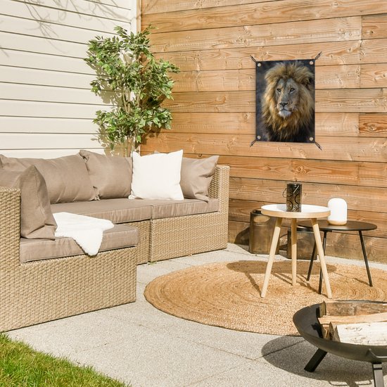 Décoration de Jardin Lion - Portrait - Sauvage - 30x40 cm - Toile de jardin