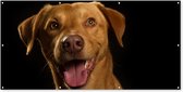 Schuttingposter Hond - Huisdieren - Portret - 200x100 cm - Tuindoek