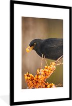 Poster - Fotolijst - Vogel - Merel - Winter - IJs - Bes - 80x120 cm - Poster kader - Wanddecoratie dieren - Poster natuur - Poster vogels - Frame poster