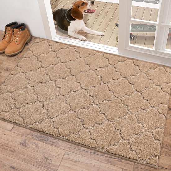 Paillasson d'intérieur 80 x 120 cm, doux, absorbant et anti-salissure, antidérapant, discret, tapis anti-saleté, lavable en machine pour porte arrière, entrée, couloir, cuisine, beige
