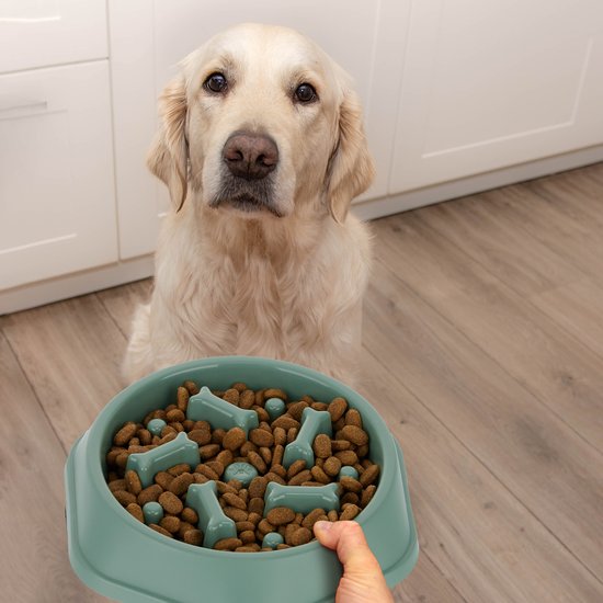 Aan de slag met de beste anti schrokbak van 2026 | De Honden Wereld