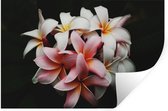 Muurstickers - Sticker Folie - Bloemen - Roze - Zwart - Flora - Botanisch - 30x20 cm - Plakfolie - Muurstickers Kinderkamer - Zelfklevend Behang - Zelfklevend behangpapier - Stickerfolie