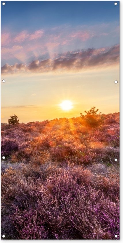 Foto: Wanddecoratie buiten bloeiende heide tijdens zonsondergang in nederland 80x160 cm tuindoek buitenposter