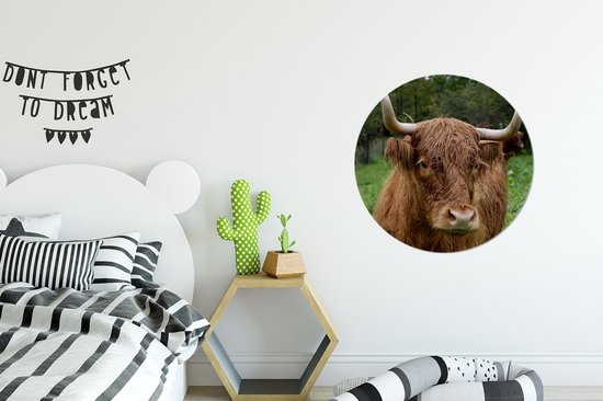 WallCircle - Stickers muraux muraux - Cercle de papier peint - Highlander écossais - Animaux - Herbe - 50x50 cm - Cercle mural - Autocollant - Autocollant de papier peint rond