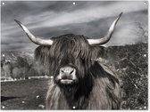 Tuinposter - Tuindoek - Tuinposters buiten - Schotse hooglander - Portret - Zwart - Wit - Dier - Wild - Natuur - 120x90 cm - Tuin